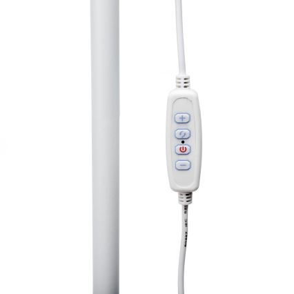LED pritemdomas toršeras SIGNUS LED/10W/230V 3000/4500/6500K balta