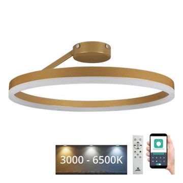 LED Pritemdomas tvirtinamas sietynas LED/40W/230V 3000-6500K auksas + nuotolinio valdymo pultas