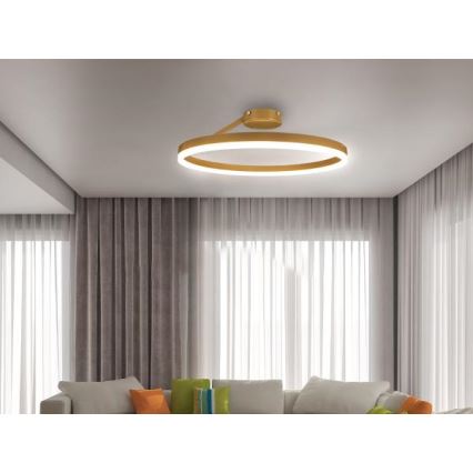 LED Pritemdomas tvirtinamas sietynas LED/40W/230V 3000-6500K auksas + nuotolinio valdymo pultas