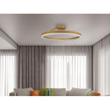 LED Pritemdomas tvirtinamas sietynas LED/40W/230V 3000-6500K auksas + nuotolinio valdymo pultas