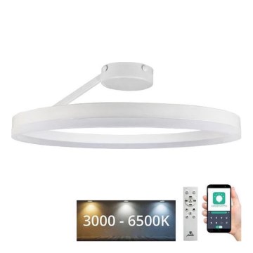LED Pritemdomas tvirtinamas sietynas LED/40W/230V 3000-6500K balta + nuotolinio valdymo pultas