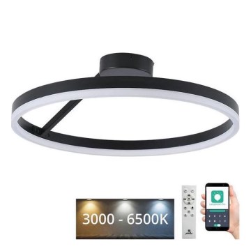 LED Pritemdomas tvirtinamas sietynas LED/40W/230V 3000-6500K juoda + nuotolinio valdymo pultas