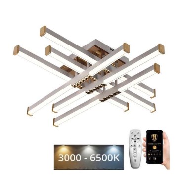 LED Pritemdomas tvirtinamas sietynas LED/90W/230V 3000-6500K + nuotolinio valdymo pultas