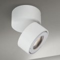 LED Pritemdomas vonia Akcentinis šviestuvas HARVEY LED/15W/230V IP65 balta