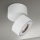 LED Pritemdomas vonia Akcentinis šviestuvas HARVEY LED/15W/230V IP65 balta