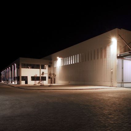 LED prožektorius LED/30W/230V 3000/4000/6500K IP65 juodas