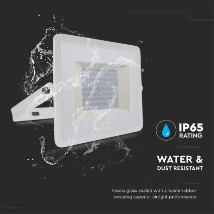 LED prožektorius LED/100W/230V 4000K IP65 balta