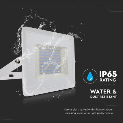 LED prožektorius LED/100W/230V 6500K IP65 balta