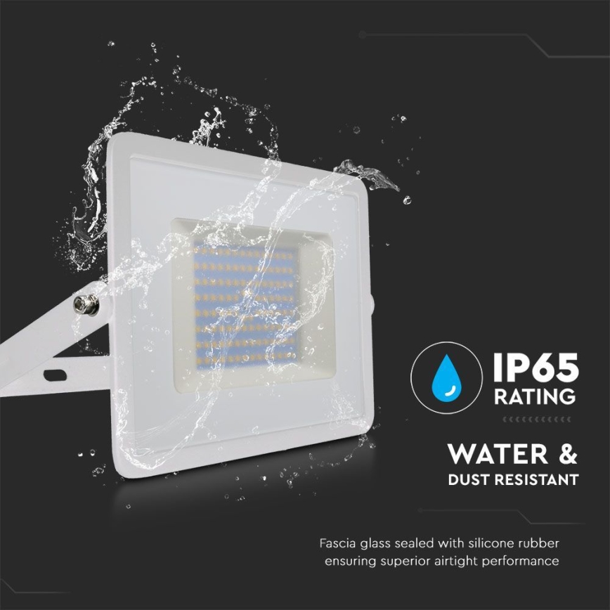 LED prožektorius LED/100W/230V 6500K IP65 balta