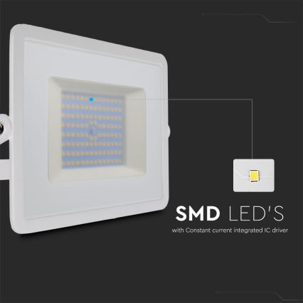LED prožektorius LED/100W/230V 6500K IP65 balta