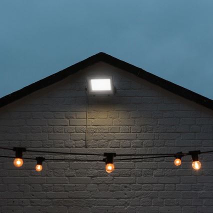 LED prožektorius LED/100W/230V IP65 3000/4000/6500K