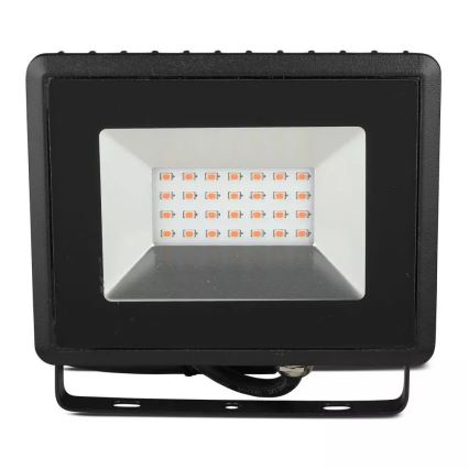 LED prožektorius LED/20W/230V IP65 rausva šviestuvas