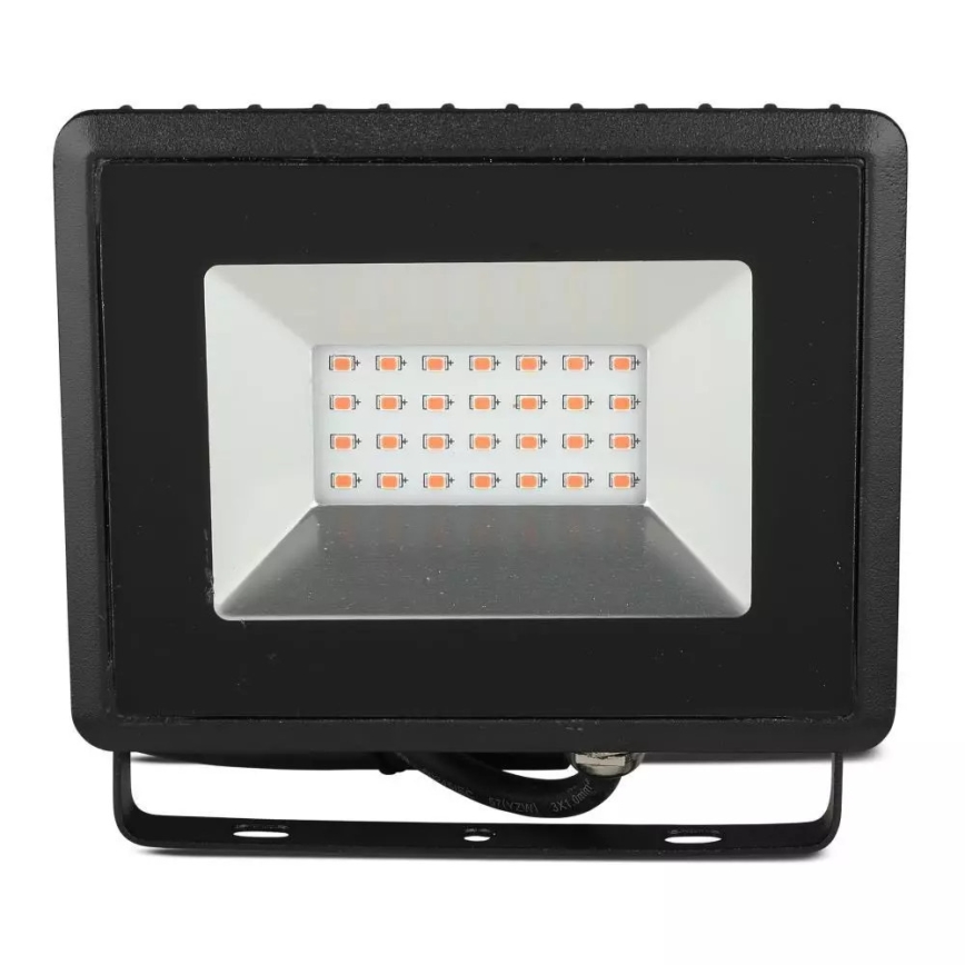 LED prožektorius LED/20W/230V IP65 rausva šviestuvas
