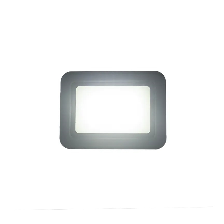 LED Prožektorius LED/30W/230V 4000K IP65