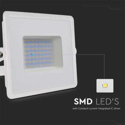LED prožektorius LED/50W/230V 6500K IP65 balta