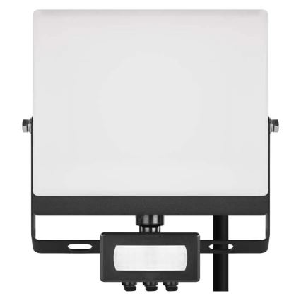 LED prožektorius TAMBO EVO su judesio ir sutemų jutikliu, 30 W, 230 V, 4000 K, IP44, juodas