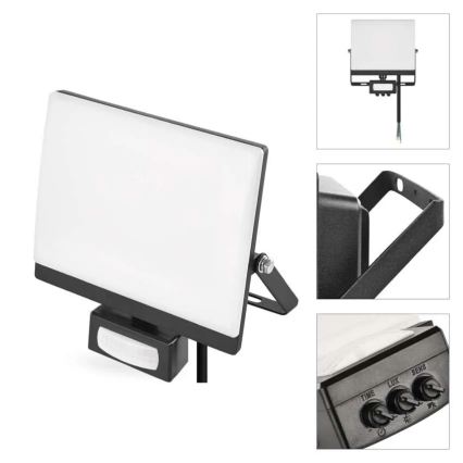 LED prožektorius TAMBO EVO su judesio ir sutemų jutikliu, 30 W, 230 V, 4000 K, IP44, juodas