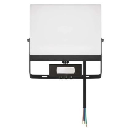 LED prožektorius su judesio ir sutemų davikliu TAMBO EVO LED/50W/230V 4000K IP44 juodas