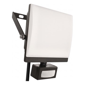 LED prožektorius su judesio ir sutemų davikliu TAMBO EVO LED/50W/230V 4000K IP44 juodas