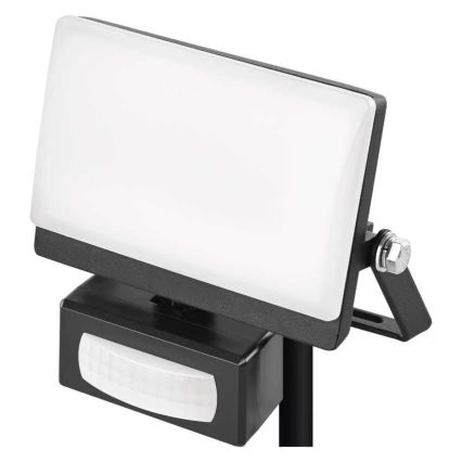 LED prožektorius TAMBO EVO su judesio ir sutemų jutikliu LED/10W/230V 4000K IP44 juodas
