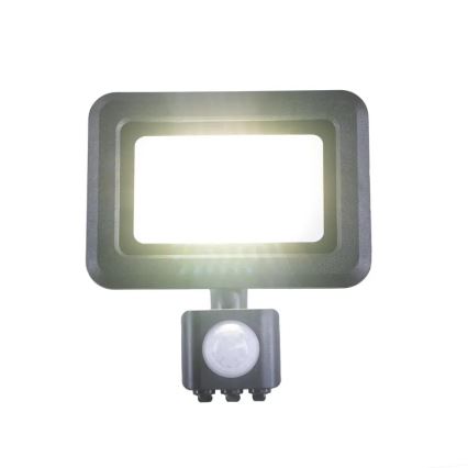 LED Prožektorius su jutikliu LED/20W/230V 4000K IP44