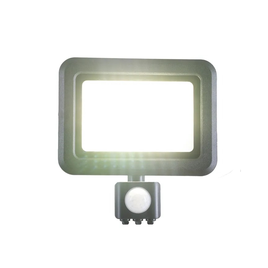 LED Prožektorius su jutikliu LED/30W/230V 4000K IP44
