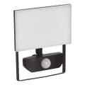 LED prožektorius su jutikliu TAMBO LED/20W/230V 4000K IP54