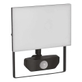 LED prožektorius su jutikliu TAMBO LED/30W/230V 4000K IP54