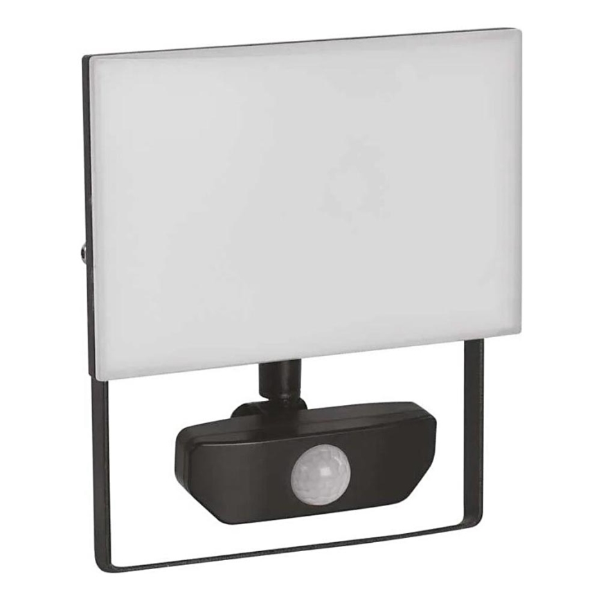 LED prožektorius su jutikliu TAMBO LED/30W/230V 4000K IP54