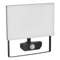 LED prožektorius su jutikliu TAMBO LED/50W/230V 4000K IP54