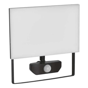 LED prožektorius su jutikliu TAMBO LED/50W/230V 4000K IP54