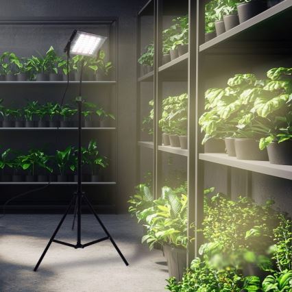 LED Prožektorius su stovu augalams auginti FIRON LED/45W/230V IP54 juoda