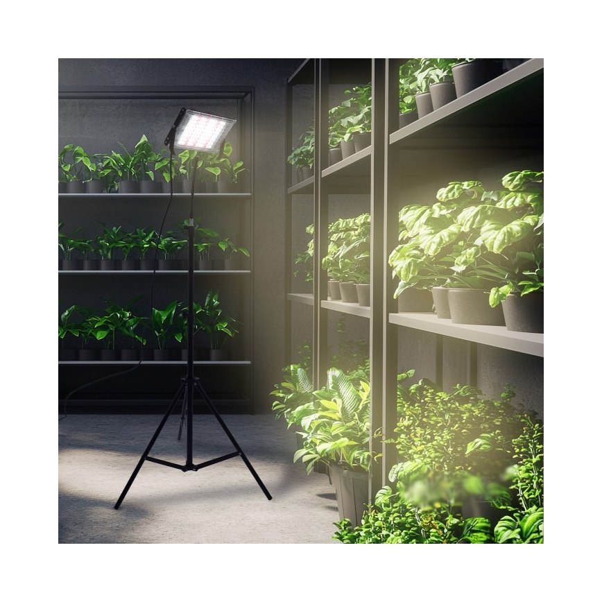 LED Prožektorius su stovu augalams auginti FIRON LED/45W/230V IP54 juoda