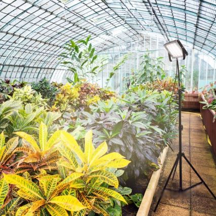 LED Prožektorius su stovu augalams auginti FIRON LED/45W/230V IP54 juoda