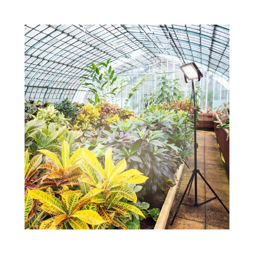 LED Prožektorius su stovu augalams auginti FIRON LED/45W/230V IP54 juoda