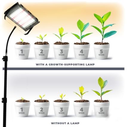 LED Prožektorius su stovu augalams auginti FIRON LED/45W/230V IP54 juoda