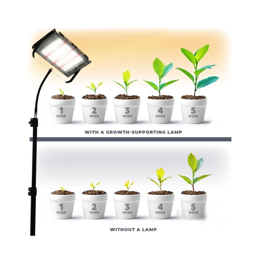 LED Prožektorius su stovu augalams auginti FIRON LED/45W/230V IP54 juoda