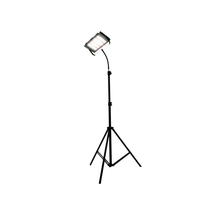 LED Prožektorius su stovu augalams auginti FIRON LED/45W/230V IP54 juoda