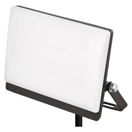 LED prožektorius TAMBO EVO LED/20W/230V 4000K IP65 juodas