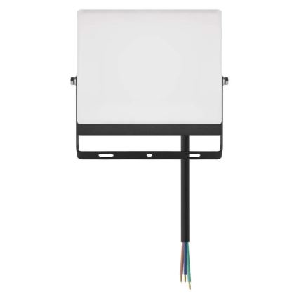 LED prožektorius TAMBO EVO LED/30W/230V 4000K IP65 juodas