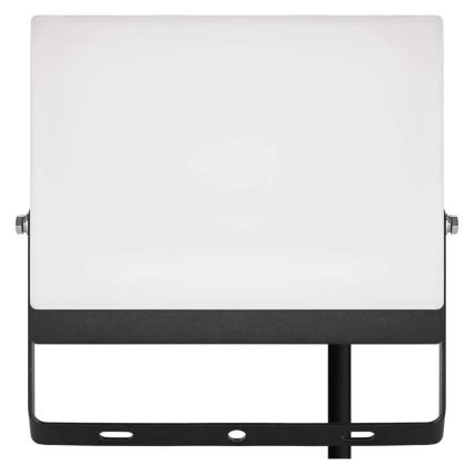 LED prožektorius TAMBO EVO LED/50W/230V 4000K IP65 juodas