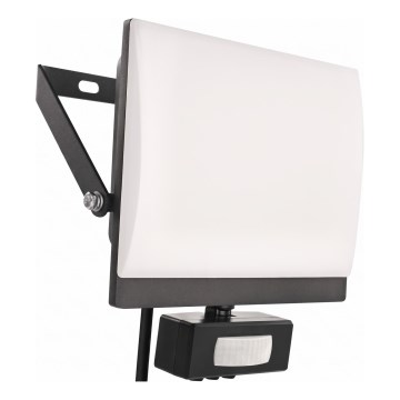 LED prožektorius TAMBO EVO su judesio ir sutemų jutikliu, 30 W, 230 V, 4000 K, IP44, juodas