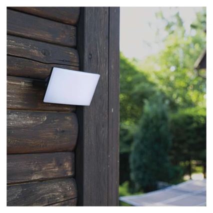 LED prožektorius TAMBO LED/10W/230V 4000K IP65