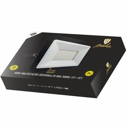 LED reflektorius LED/100W/230V IP65