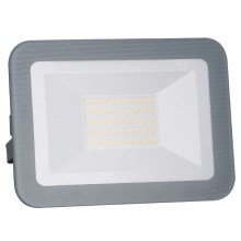 LED reflektorius LED/30W/230V IP65