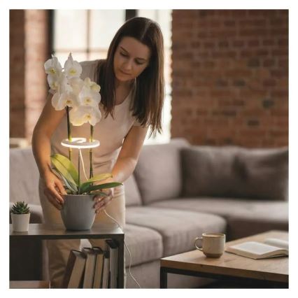 LED reguliuojama interjero lempa augalų auginimui GROW LED/8W/5V