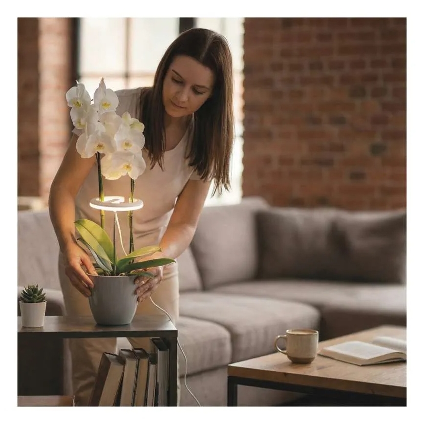 LED reguliuojama interjero lempa augalų auginimui GROW LED/8W/5V