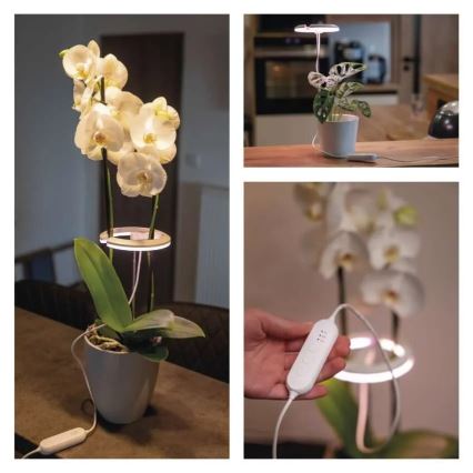 LED reguliuojama interjero lempa augalų auginimui GROW LED/8W/5V