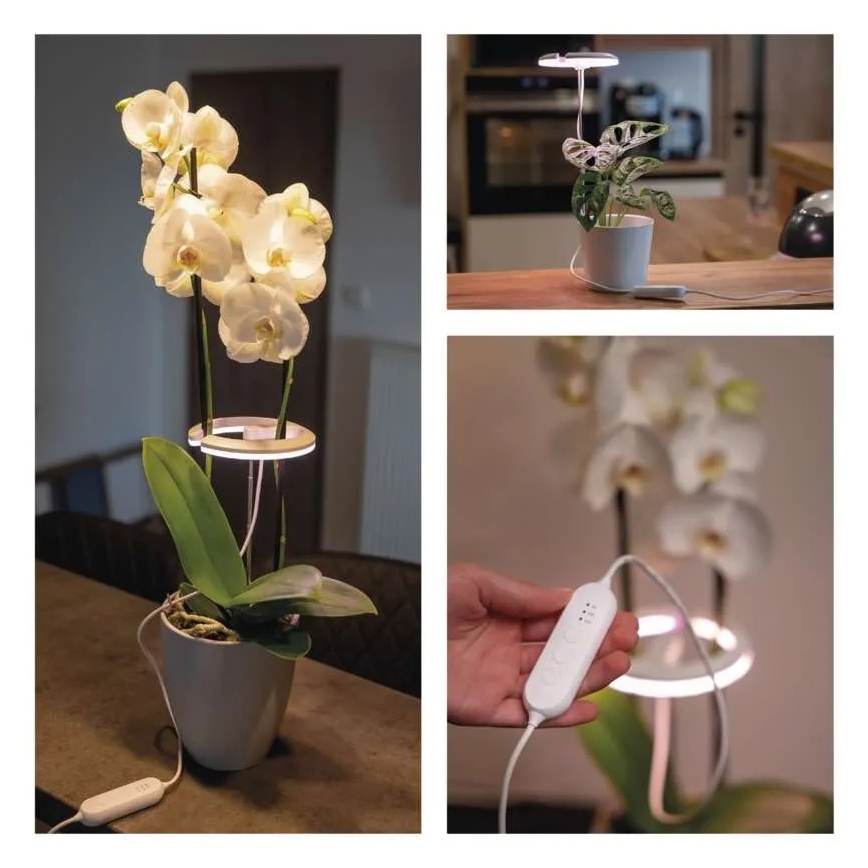 LED reguliuojama interjero lempa augalų auginimui GROW LED/8W/5V