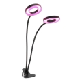 LED reguliuojama lanksčioji stalinė lempa su spaustuku augalų auginimui VITARO 2xLED/4W/230V juoda